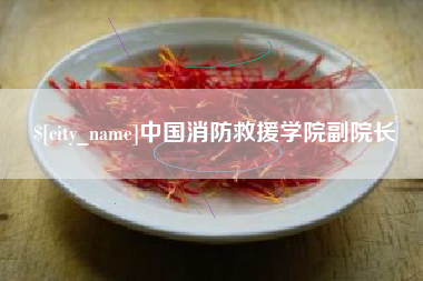 亳州中国消防救援学院副院长