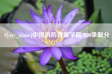 亳州中国消防救援学院2020录取分