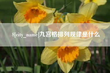 亳州九宫格排列规律是什么