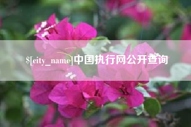 亳州中国执行网公开查询
