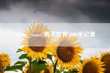 亳州男子世界5000米记录