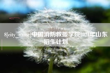 亳州中国消防救援学院2021年山东招生计划