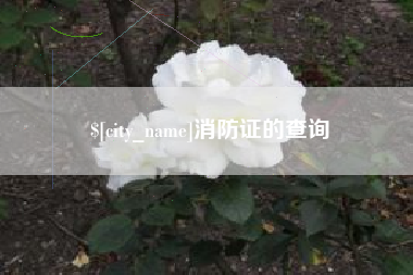 亳州消防证的查询
