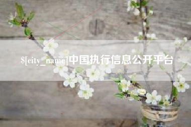 亳州中国执行信息公开平台