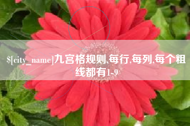 亳州九宫格规则,每行,每列,每个粗线都有1-9