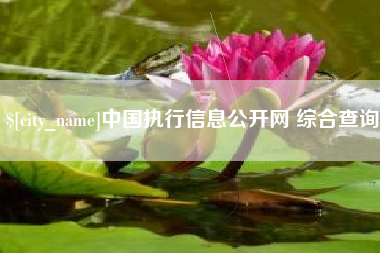 亳州中国执行信息公开网 综合查询