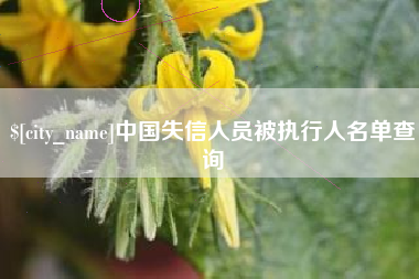 亳州中国失信人员被执行人名单查询