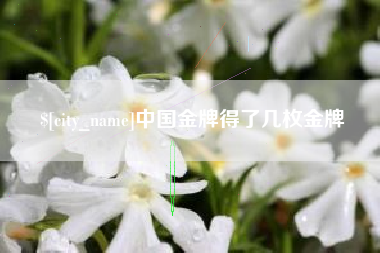 亳州中国金牌得了几枚金牌