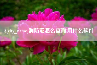 亳州消防证怎么查询,用什么软件