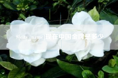 亳州现在中国金牌是多少