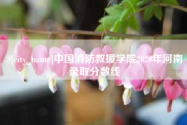 亳州中国消防救援学院2020年河南录取分数线