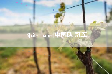 亳州中国队 冠军
