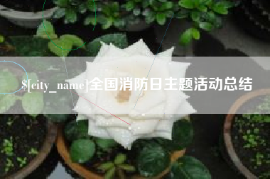 亳州全国消防日主题活动总结