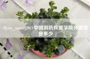 亳州2021中国消防救援学院分数线是多少