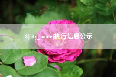 亳州执行信息公示
