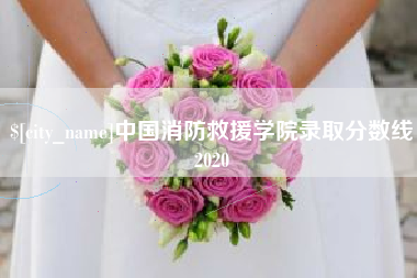 亳州中国消防救援学院录取分数线2020