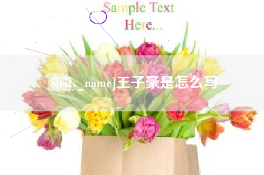 亳州王子豪是怎么写