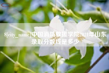 亳州中国消防救援学院2021年山东录取分数线是多少
