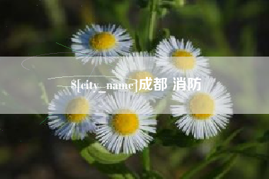 亳州成都 消防