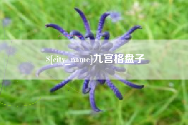 亳州九宫格盘子