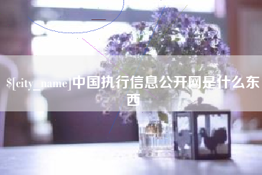 亳州中国执行信息公开网是什么东西