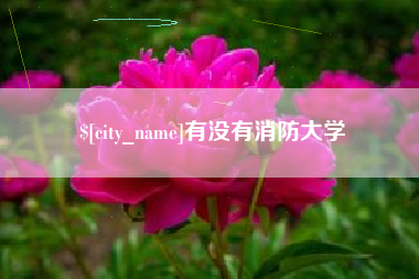 亳州有没有消防大学