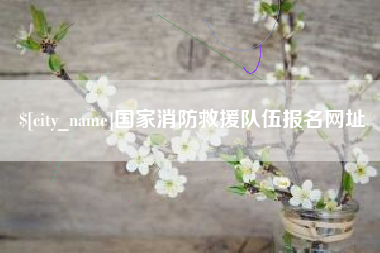 亳州国家消防救援队伍报名网址