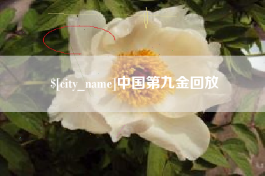 亳州中国第九金回放