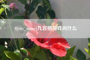 亳州九宫格游戏叫什么