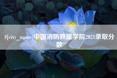 亳州中国消防救援学院2021录取分数