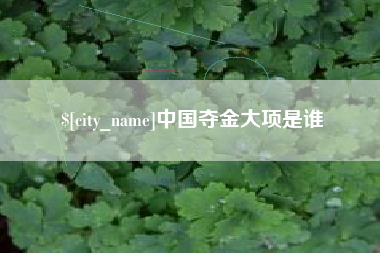 亳州中国夺金大项是谁