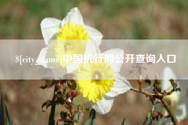 亳州中国执行网公开查询入口