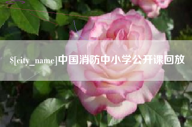 亳州中国消防中小学公开课回放