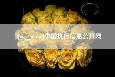 亳州中国执行信息公开网