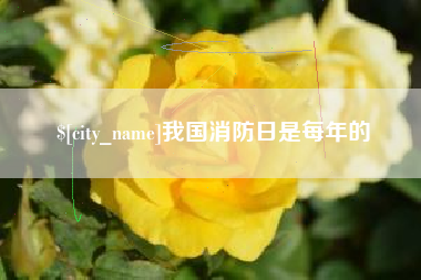 亳州我国消防日是每年的