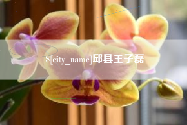 亳州邱县王子磊