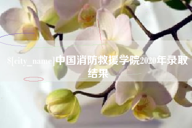 亳州中国消防救援学院2020年录取结果