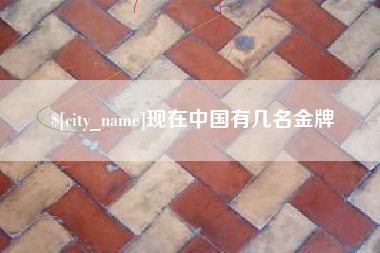 亳州现在中国有几名金牌