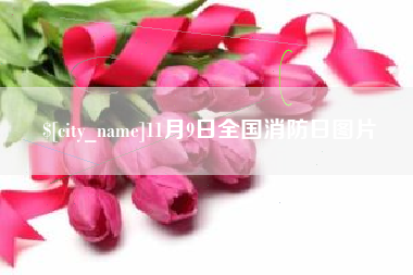 亳州11月9日全国消防日图片