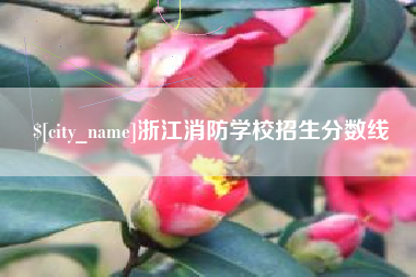 亳州浙江消防学校招生分数线