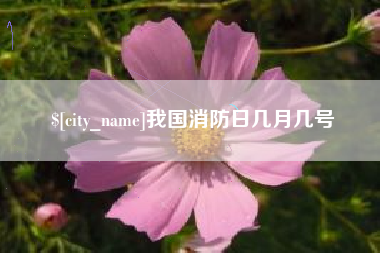 亳州我国消防日几月几号