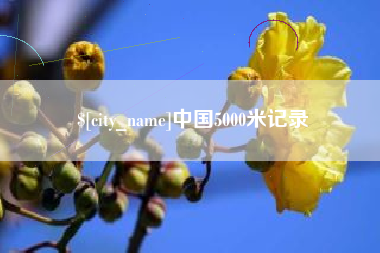 亳州中国5000米记录