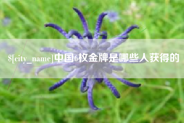 亳州中国6枚金牌是哪些人获得的