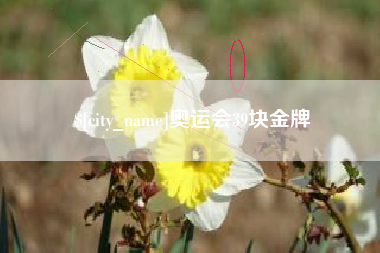 亳州奥运会39块金牌
