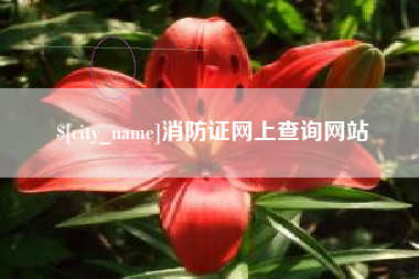 亳州消防证网上查询网站