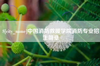 亳州中国消防救援学院消防专业招生简章