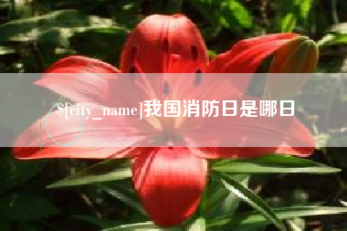 亳州我国消防日是哪日