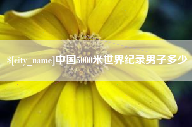 亳州中国5000米世界纪录男子多少