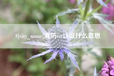 亳州消防ccc认证什么意思
