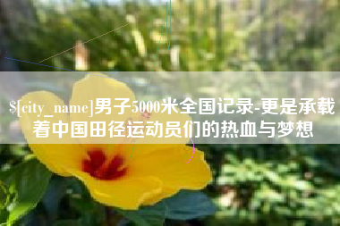 亳州男子5000米全国记录-更是承载着中国田径运动员们的热血与梦想